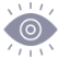 Vision